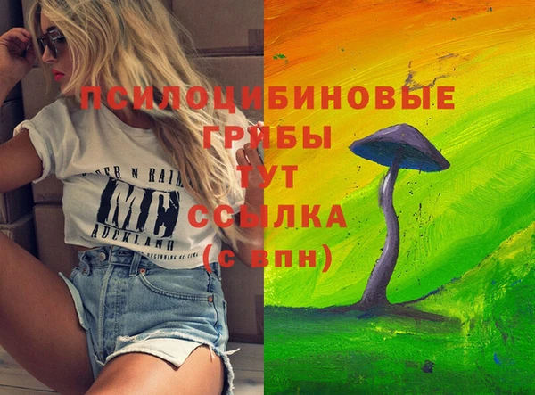 PSILOCYBIN Алексеевка