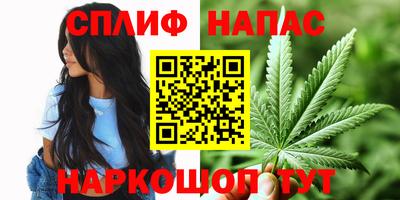 ECSTASY Кимры