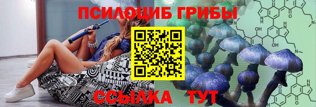 Лысьва  закладка  Вход с VPN  Псилоцибиновые грибы GOLDEN TEACHER 
