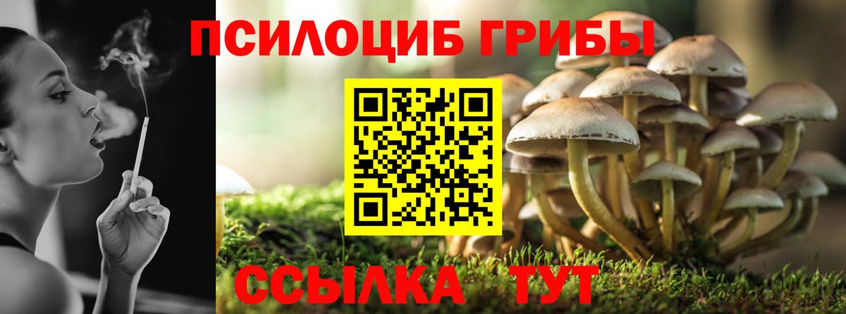 Галлюциногенные грибы мицелий Лысьва
